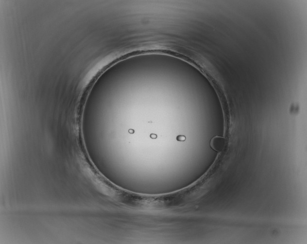 X0000115640789200911101515