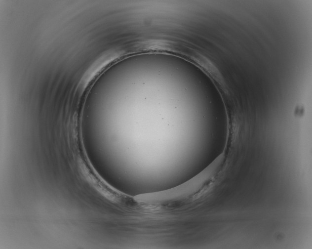 X0000115640798200911101515