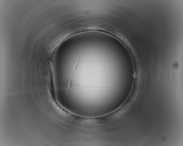 X0000115640801200911101515
