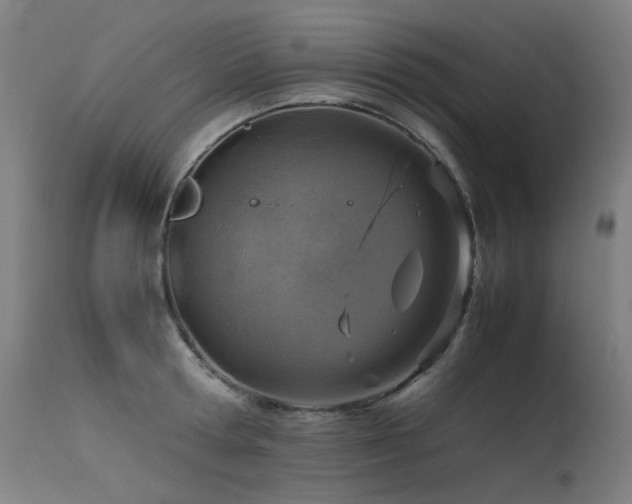 X0000115640802200911101515