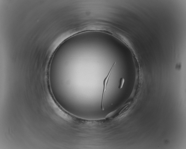 X0000115640803200911101515