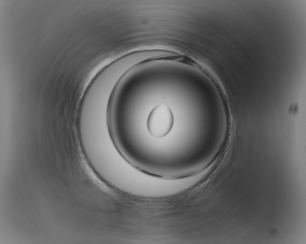 X0000115640805200911101515