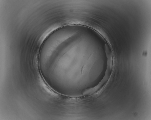 X0000115640806200911101515
