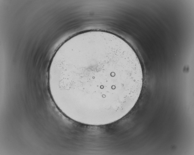 X0000115640807200911101515