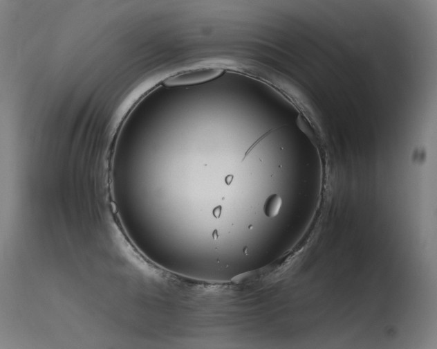 X0000115640808200911101515