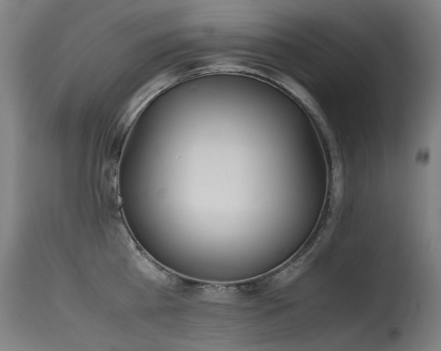 X0000115640809200911101515