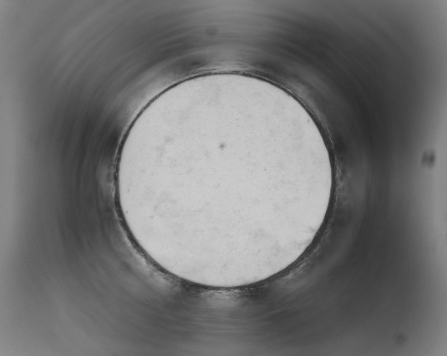 X0000115640810200911101515