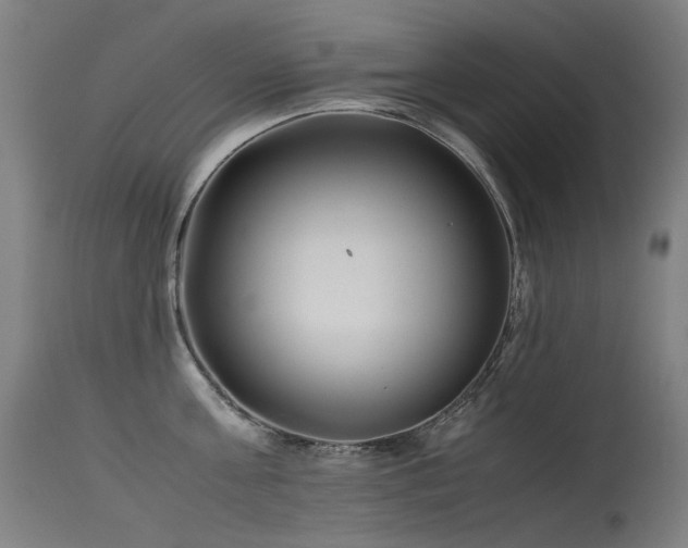 X0000115640811200911101515