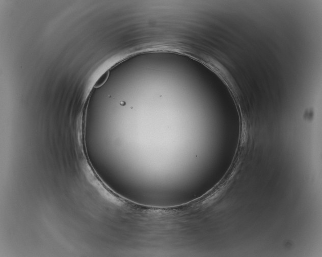 X0000115640812200911101515