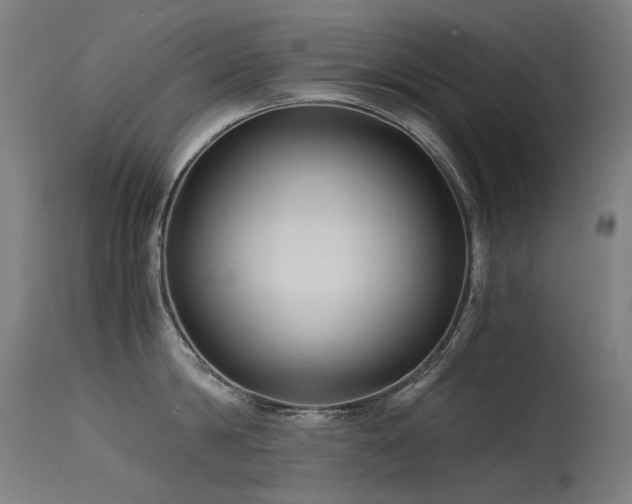X0000115640814200911101515