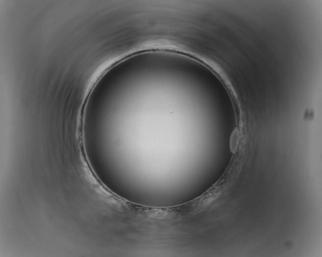 X0000115640815200911101515