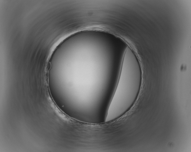 X0000115640816200911101515