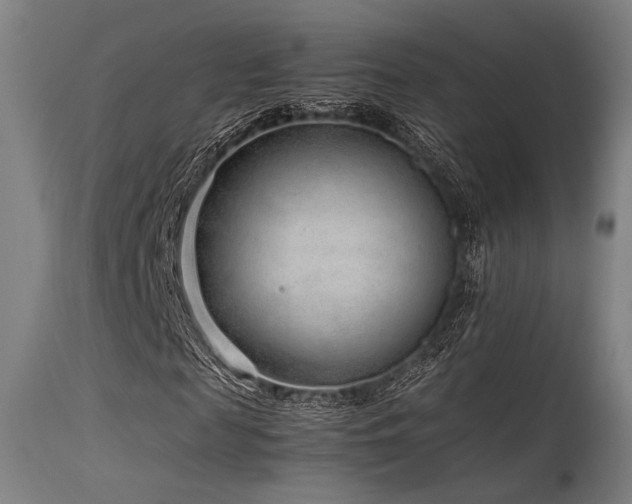 X0000115640817200911101514