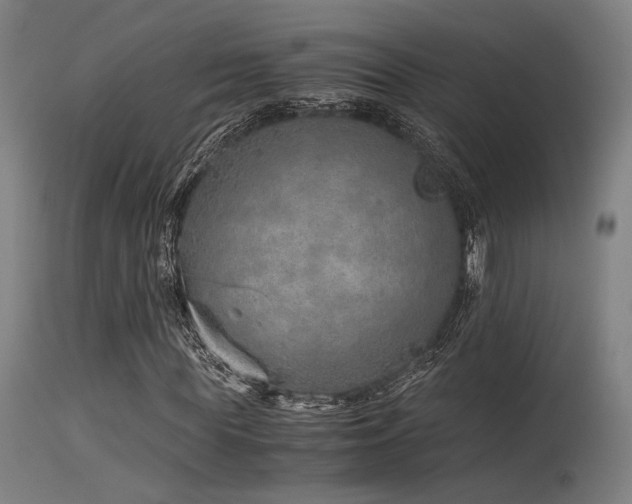 X0000115640819200911101514