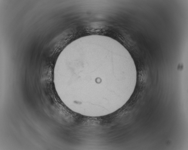 X0000115640820200911101514