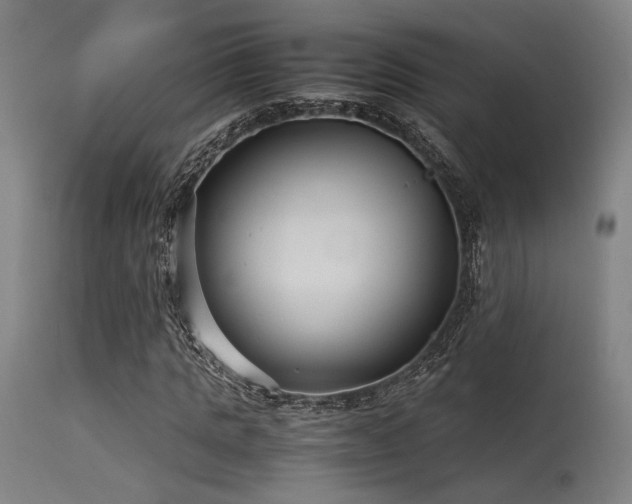 X0000115640821200911101514