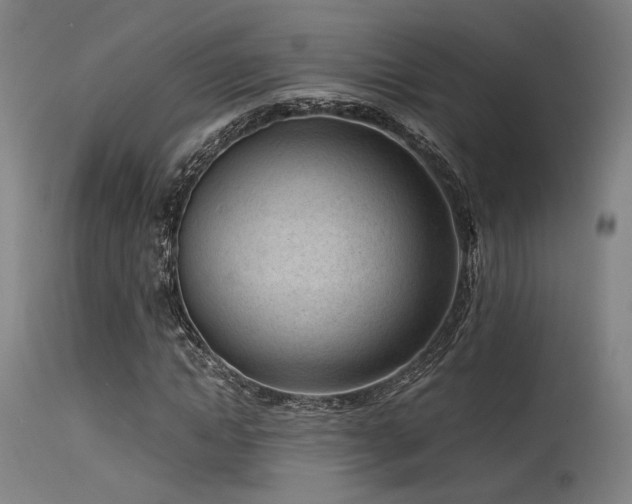 X0000115640822200911101514