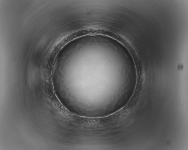 X0000115640823200911101514