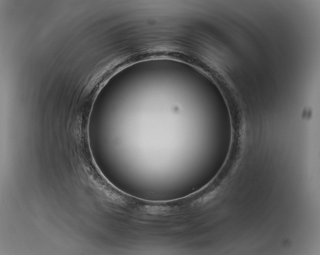 X0000115640825200911101514