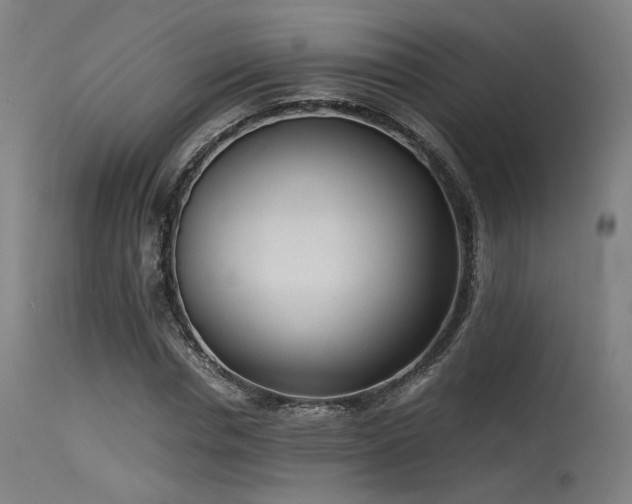 X0000115640826200911101514