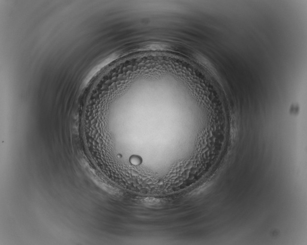 X0000115640827200911101514