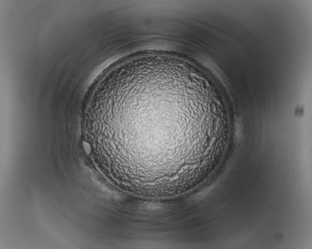 X0000115640829200911101514