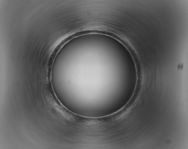 X0000115640830200911101514