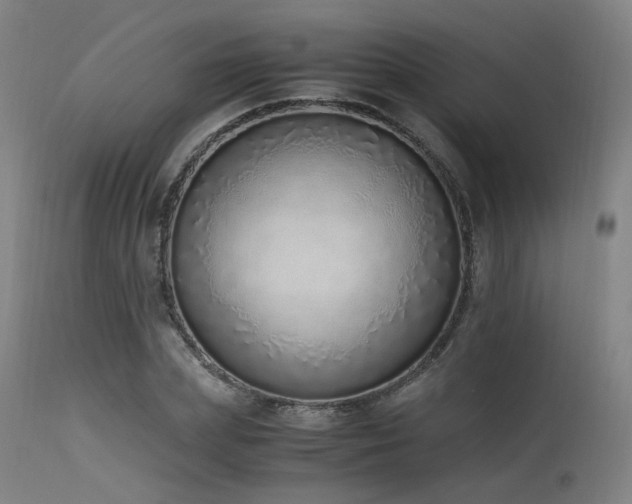 X0000115640831200911101515