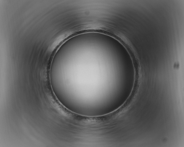 X0000115640834200911101515