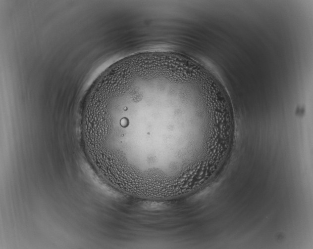 X0000115640835200911101515