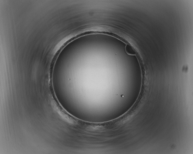 X0000115640837200911101515