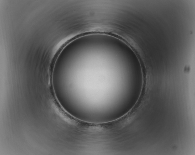 X0000115640838200911101515
