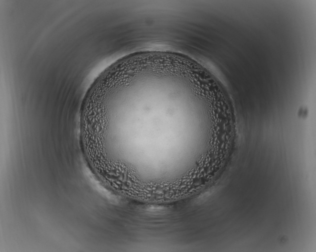 X0000115640839200911101515