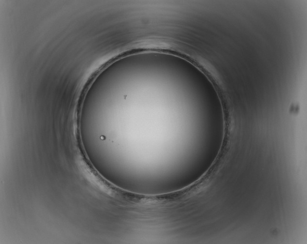 X0000115640840200911101515