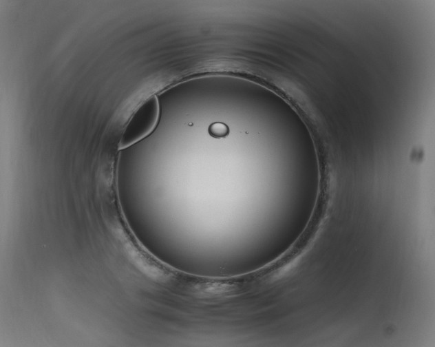 X0000115640841200911101515