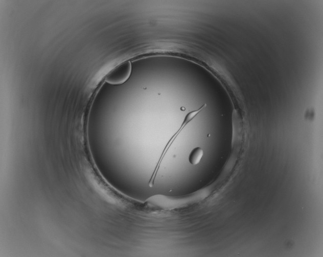 X0000115640842200911101515