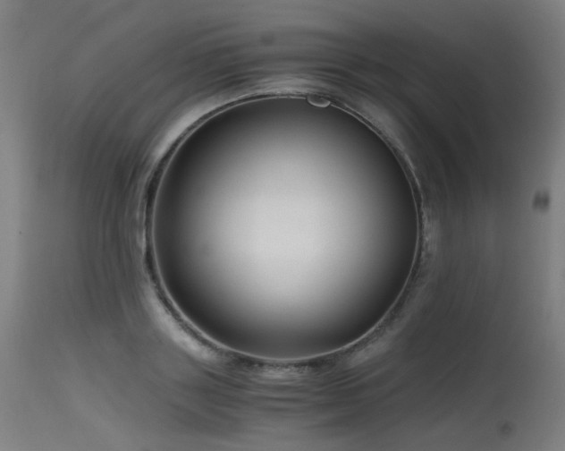 X0000115640843200911101515