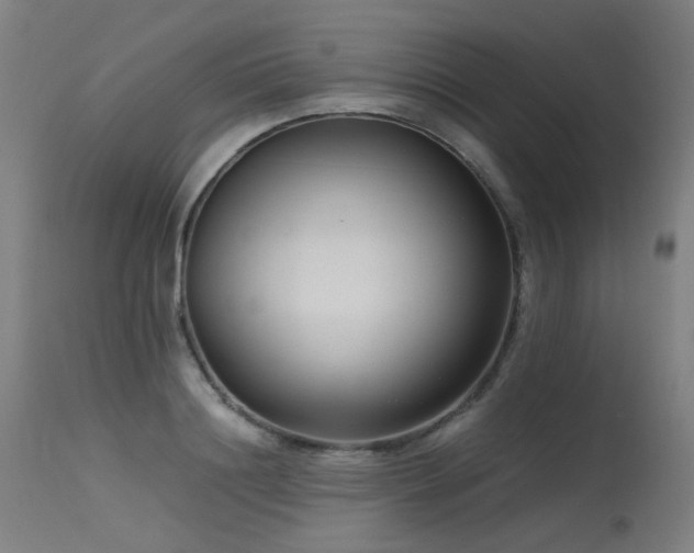 X0000115640844200911101515
