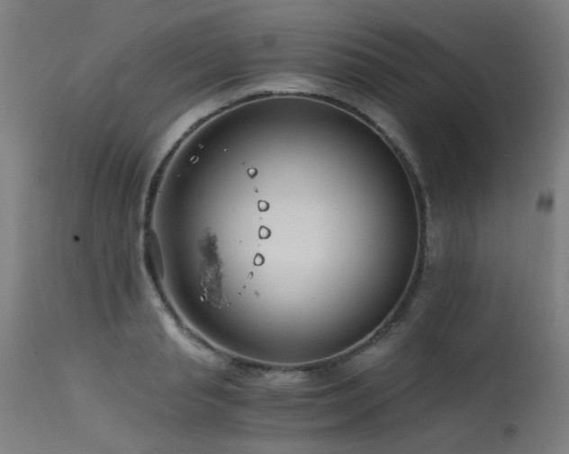 X0000115640845200911101515
