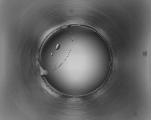 X0000115640846200911101515