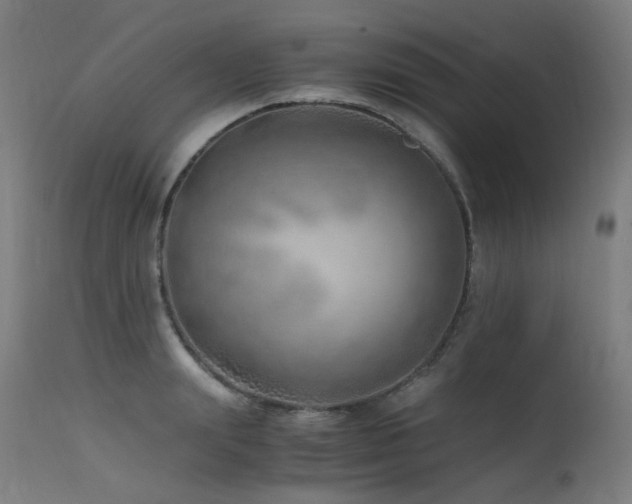 X0000115640847200911101515