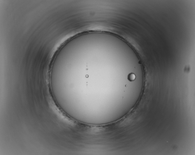 X0000115640848200911101515