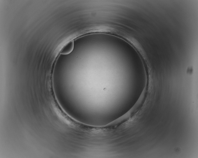 X0000115640850200911101515