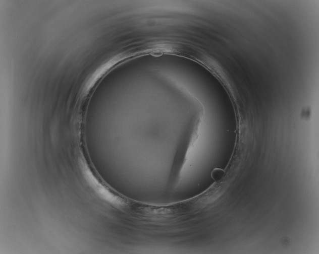 X0000115640851200911101515
