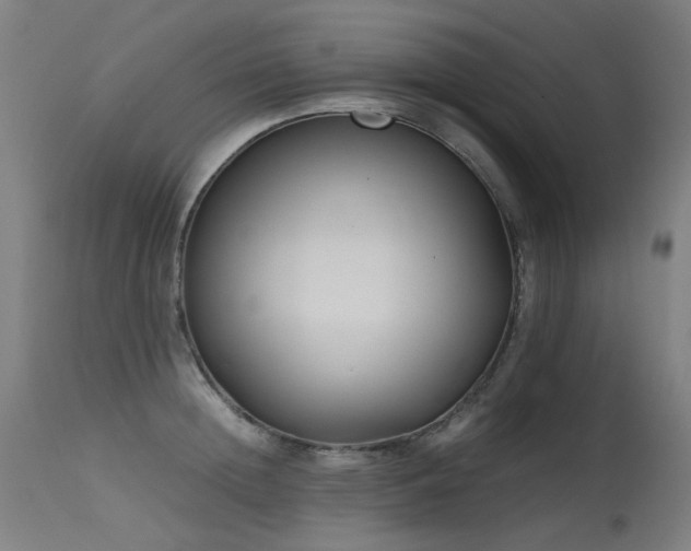 X0000115640852200911101515