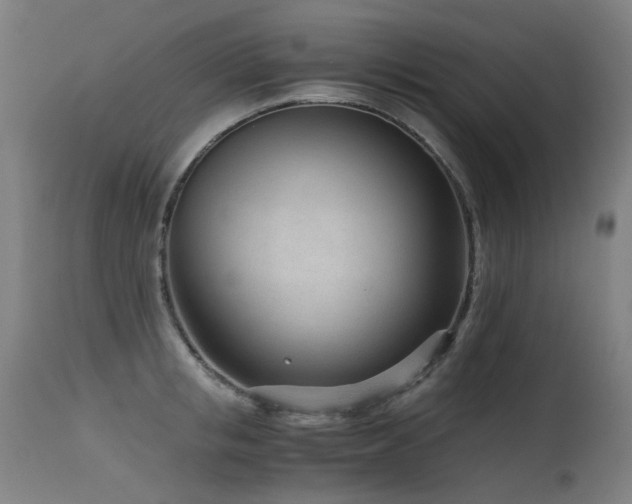 X0000115640853200911101515
