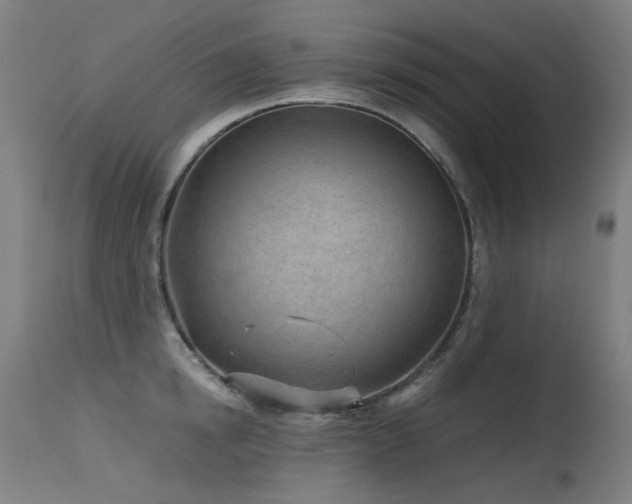 X0000115640854200911101515