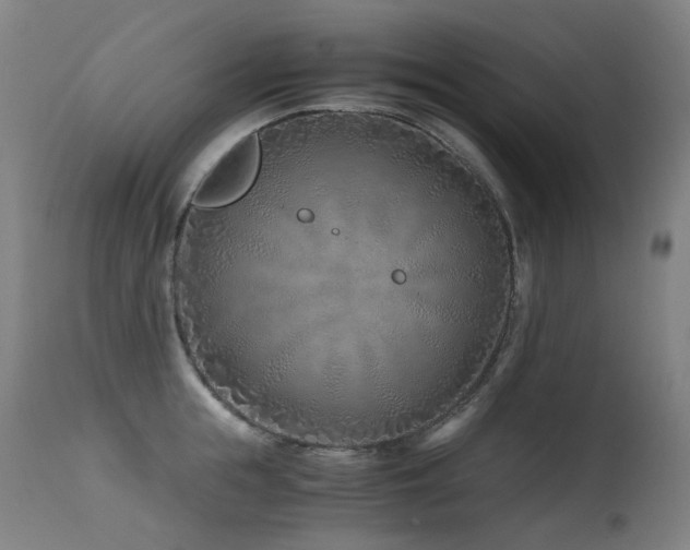 X0000115640855200911101515