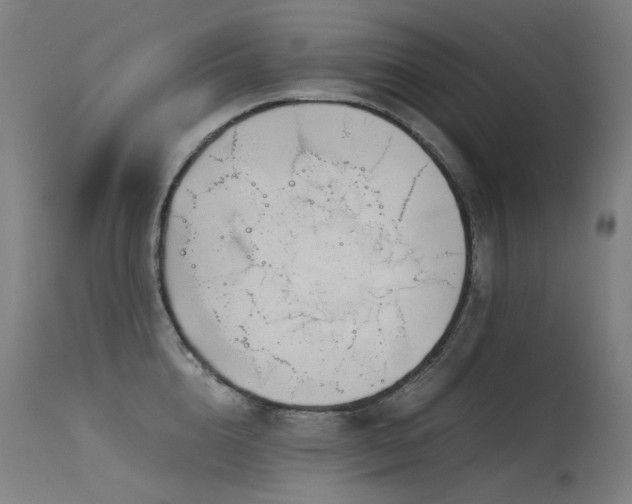 X0000115640856200911101515