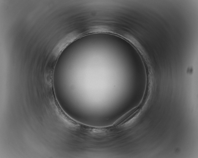 X0000115640857200911101515